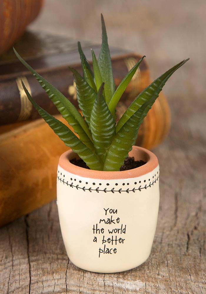 You Make The World A Better Place Succulent Keepsake