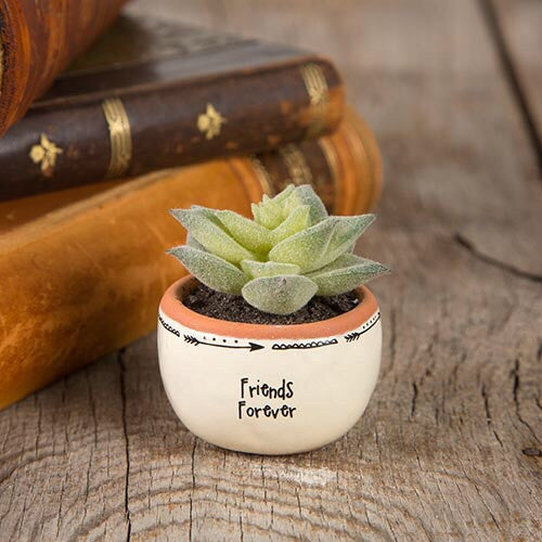 Friends Forever Succulent Keepsake