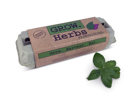 Grow Herbs Egg Carton Patio Garden