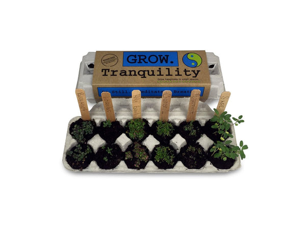 Balance & Tranquility Flower Garden