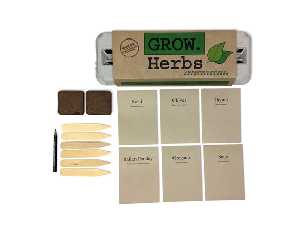 Grow Herbs Egg Carton Patio Garden