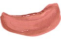 LipSense Lip Color