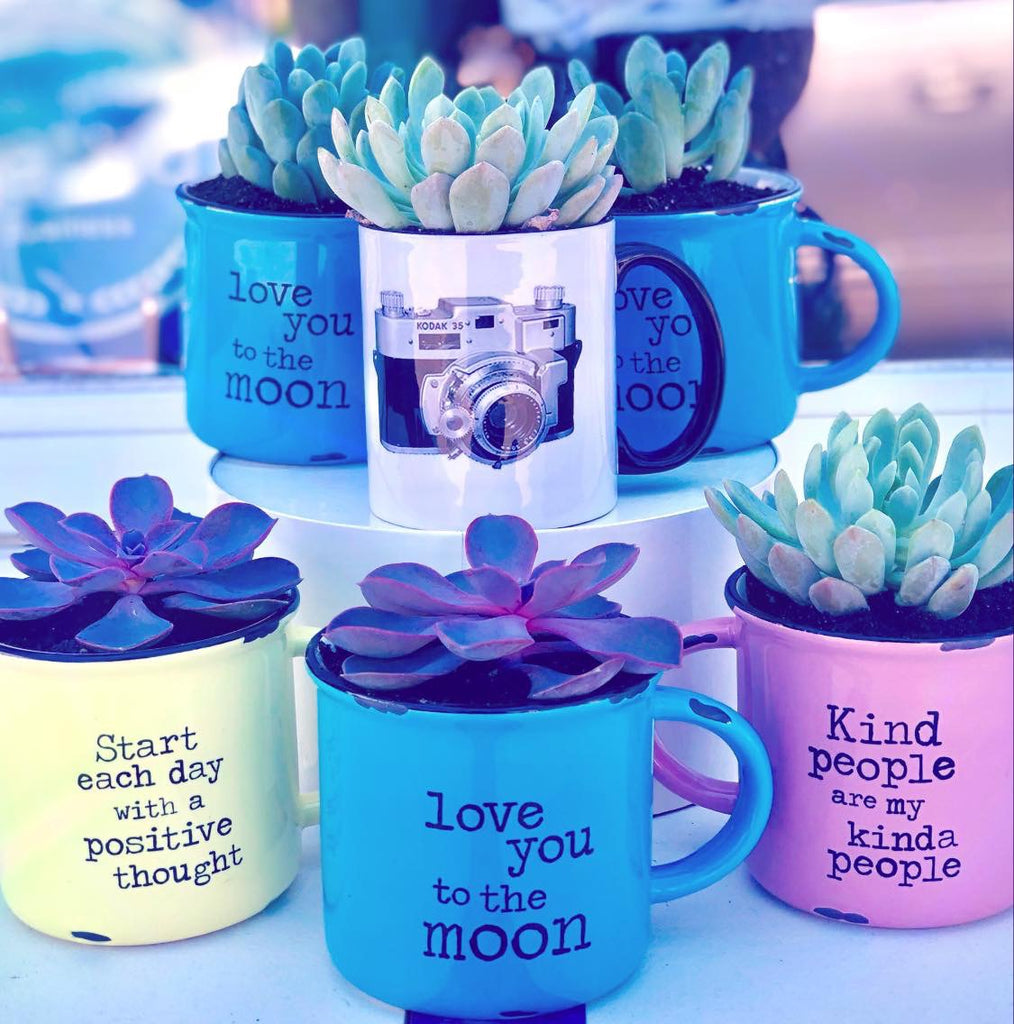 Succulent mugs