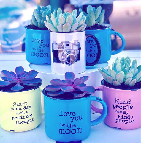 Succulent mugs