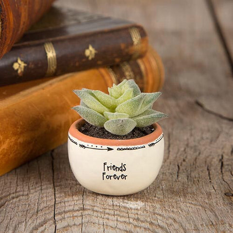 Friends Forever Succulent Keepsake