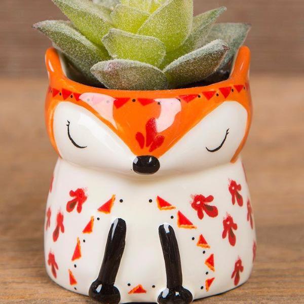 Critter Succulent Keepsakes