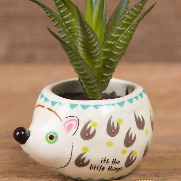 Critter Succulent Keepsakes