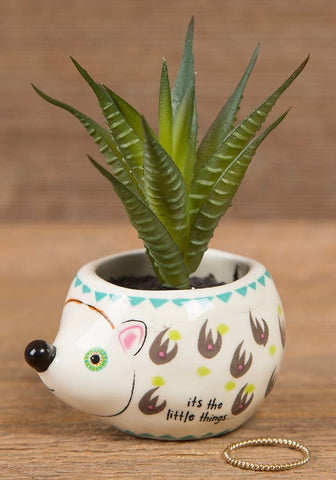 It's The Little Things Hedgehog Succulent Keepsake