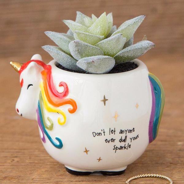 Critter Succulent Keepsakes